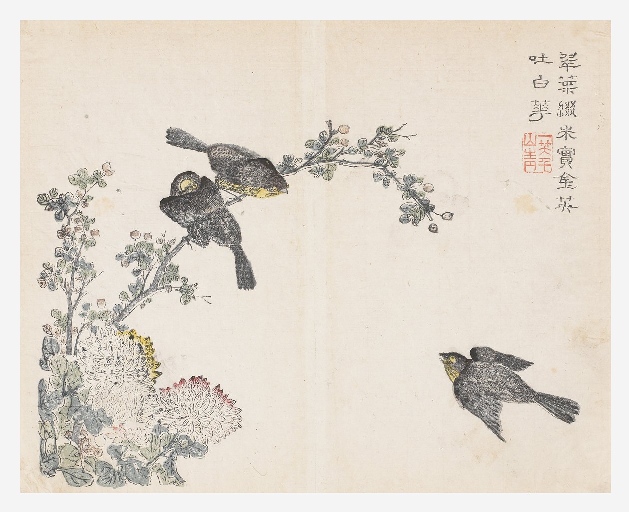 Hardal Tohumu Bahçesi by Ching yu Chiu