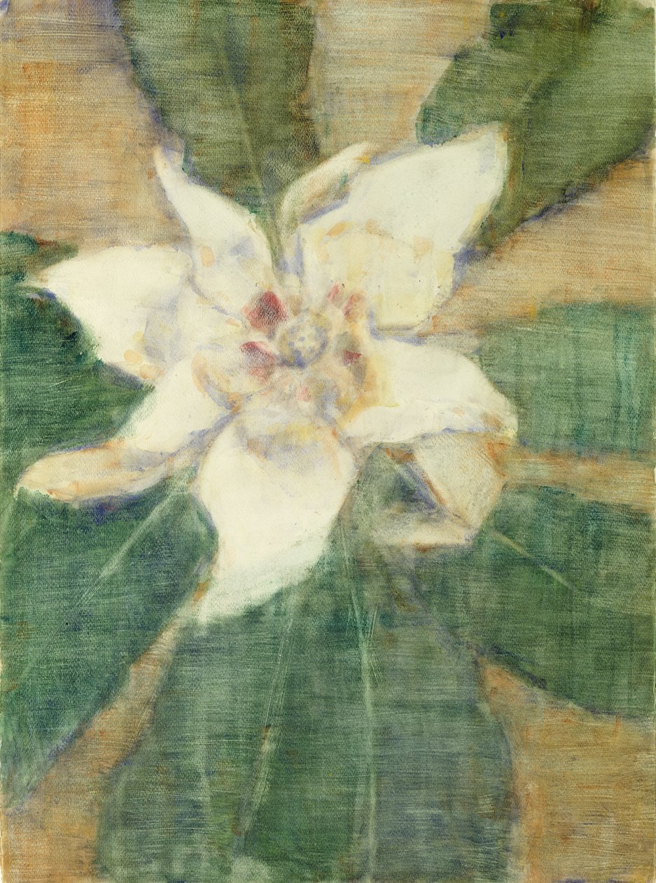 Manolya Grandiflora (tuval üzerine tempera) by Christian Rohlfs