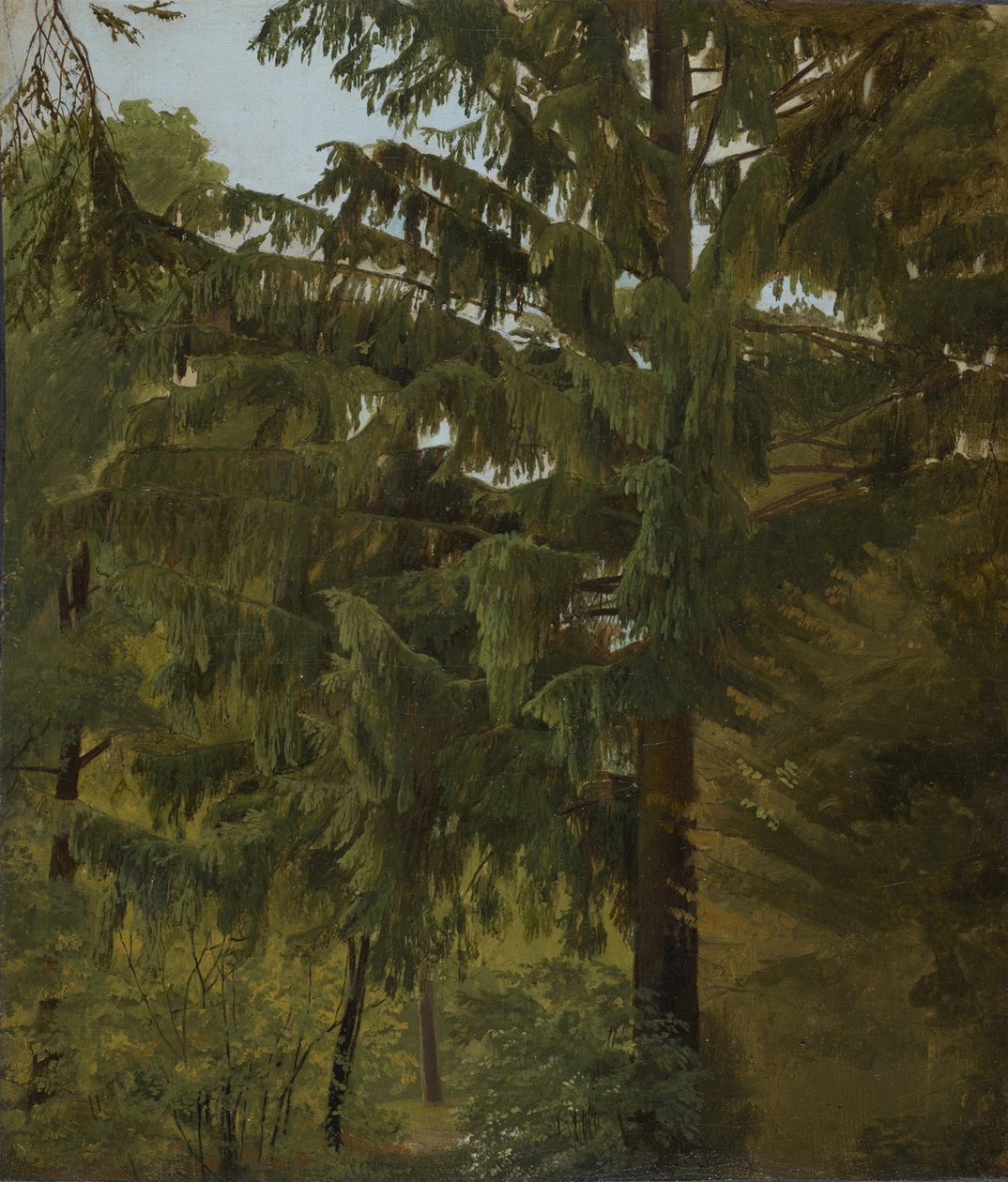 Yaprak döken ormanda köknar by Christian Friedrich Gille
