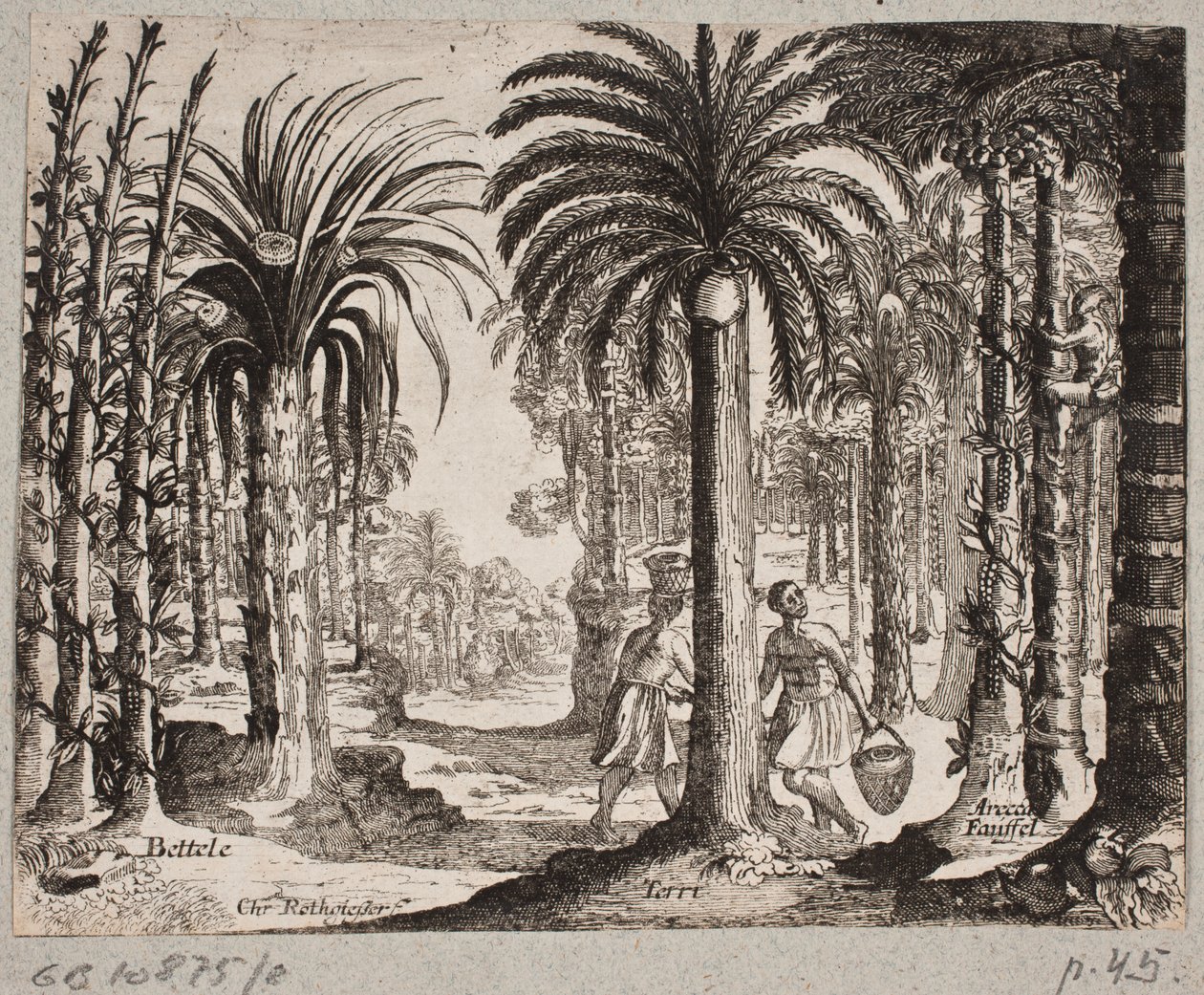 Tembul avuç içi ile Palmelund by Christian Rothgiesser