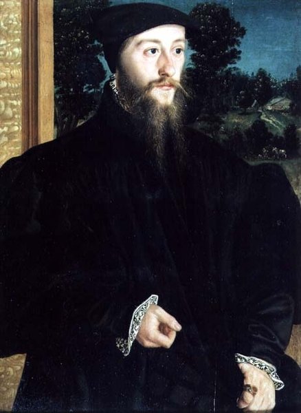 Sakallı Bir Beyefendinin Portresi by Christoph Amberger
