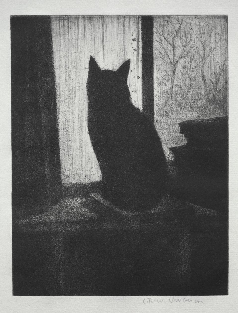 Kedi by Christopher Richard Wynne Nevinson