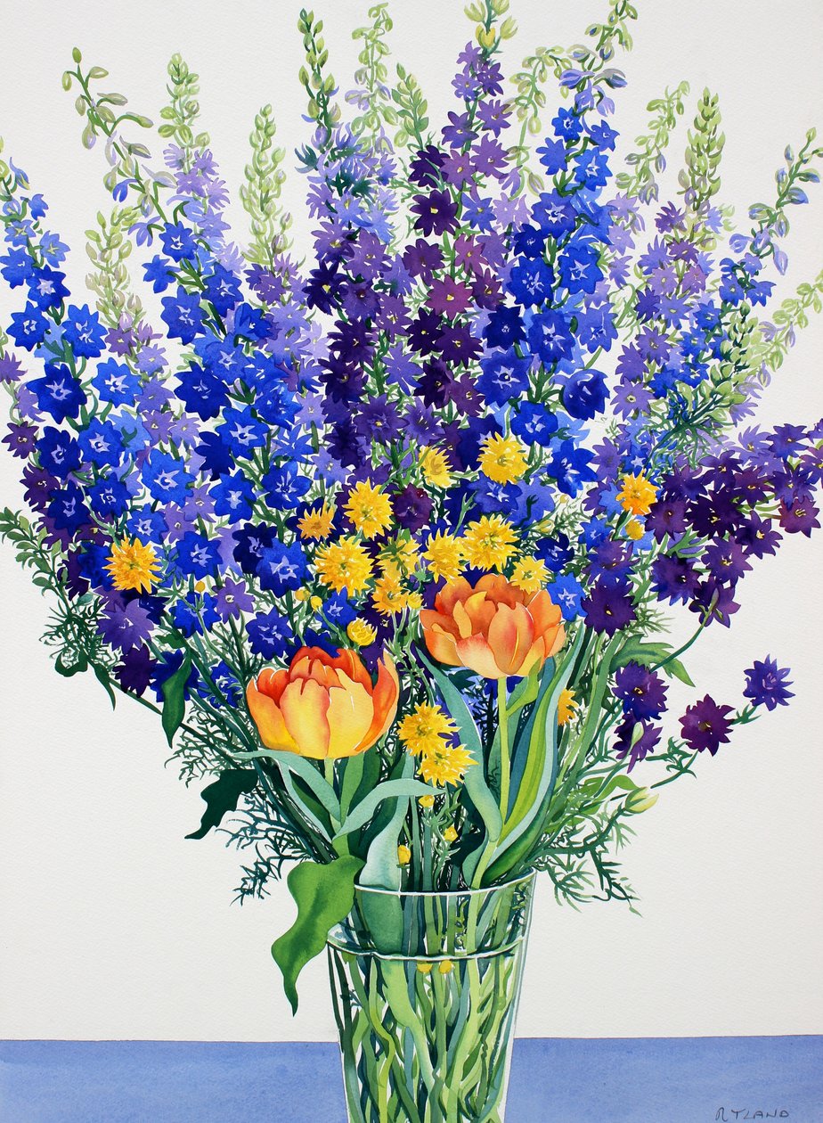 Larkspur ve Delphiniums (kağıt üzerine sulu boya) by Christopher Ryland