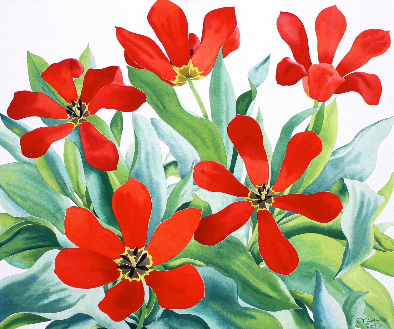 Madame Lefeber Tulips 2 (kağıt üzerine sulu boya) by Christopher Ryland