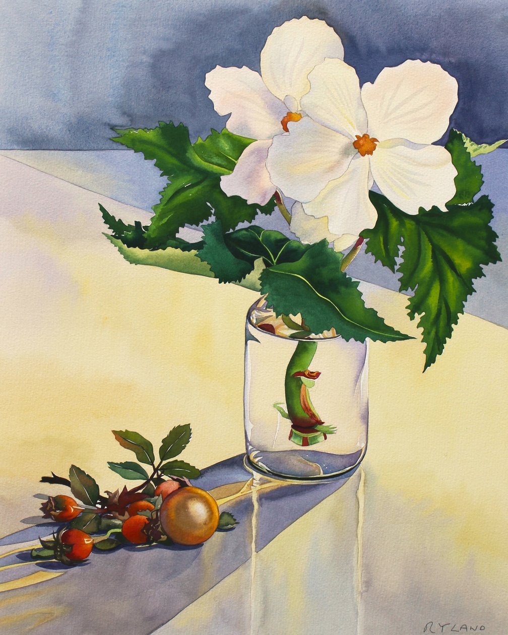 Beyaz Begonya ve Kuşburnu by Christopher Ryland