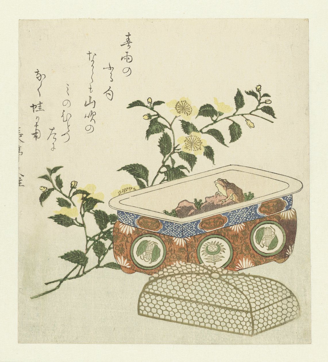 Kerria Japonica