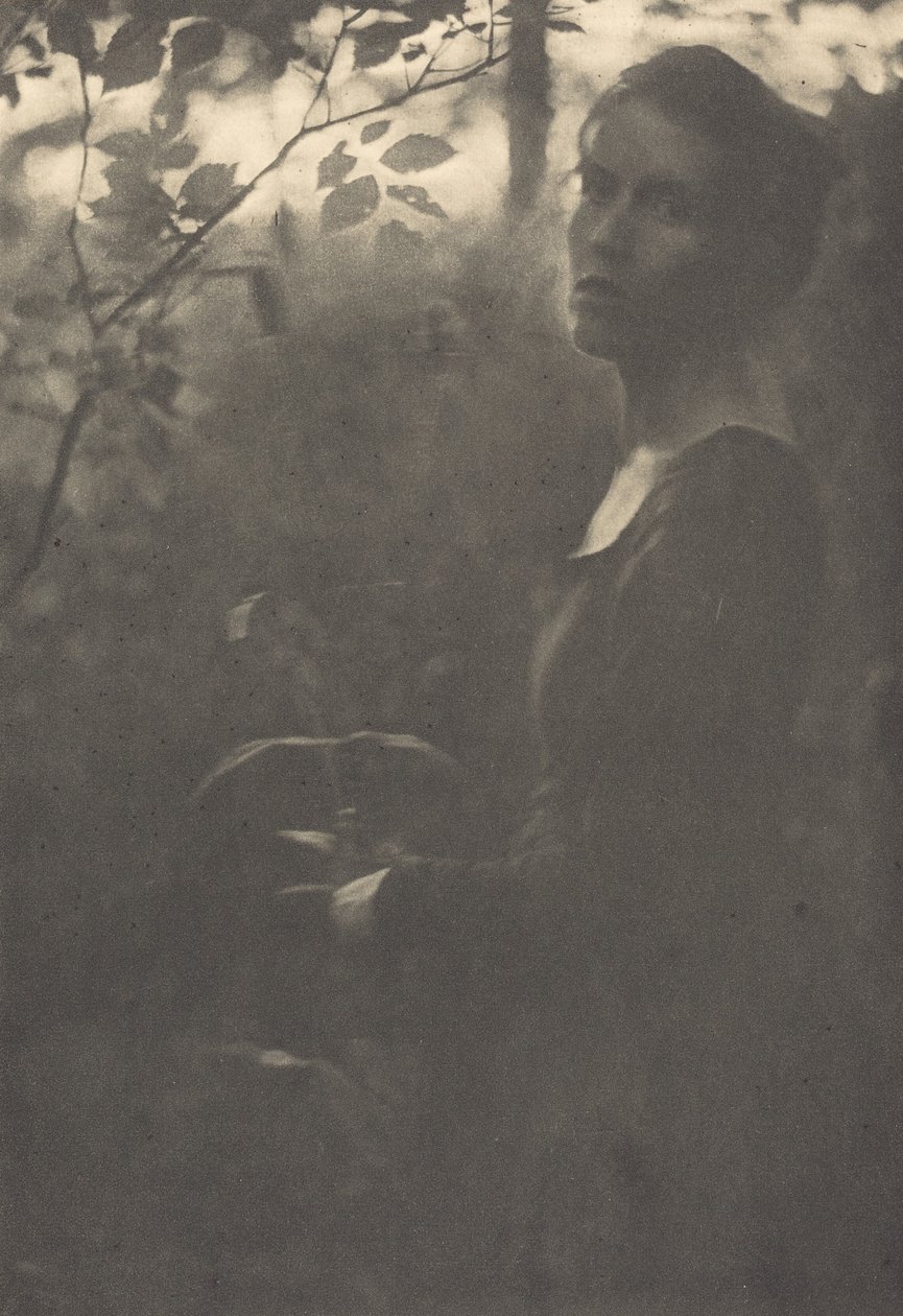 Ormanın Kenarı, Akşam, 1900. by Clarence H White