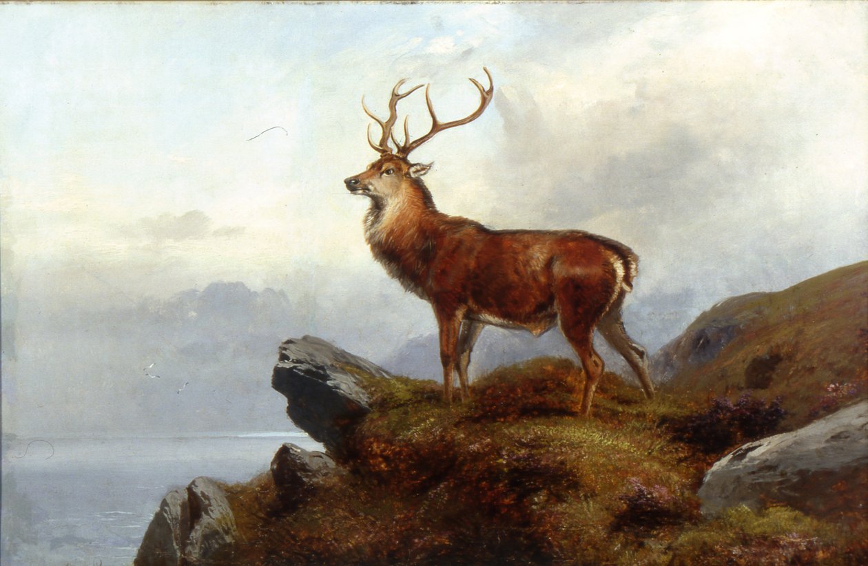 Tetikte by Clarence Roe