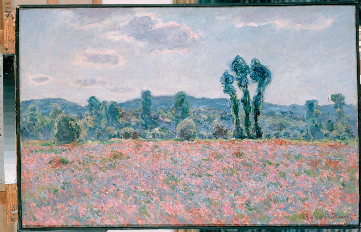 Poppy FieldnPolski: Direk makown by Claude Monet