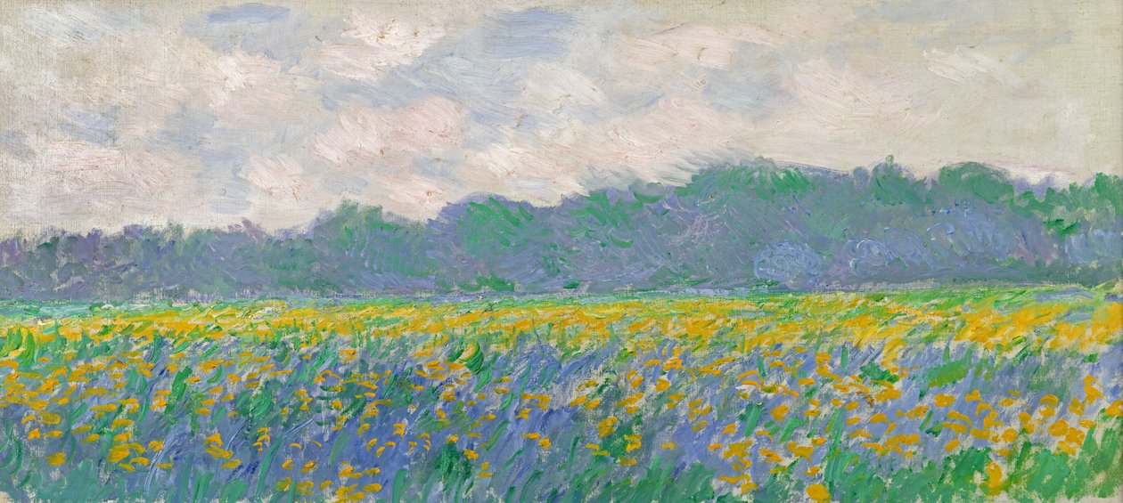 Field of Yellow Irises at Giverny, 1887  by Claude Monet