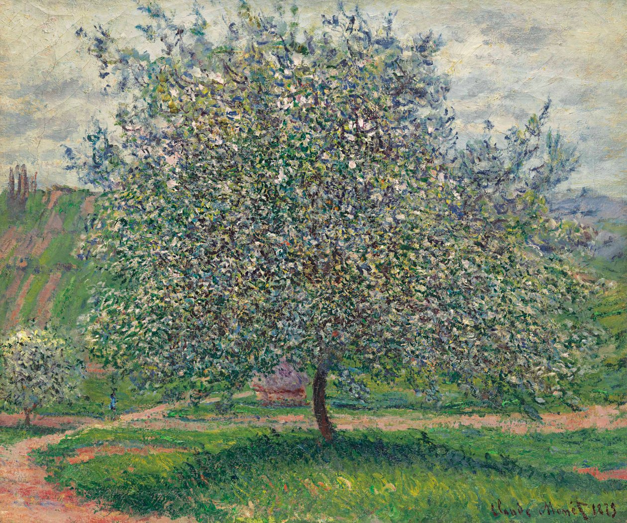 elma ağacı by Claude Monet