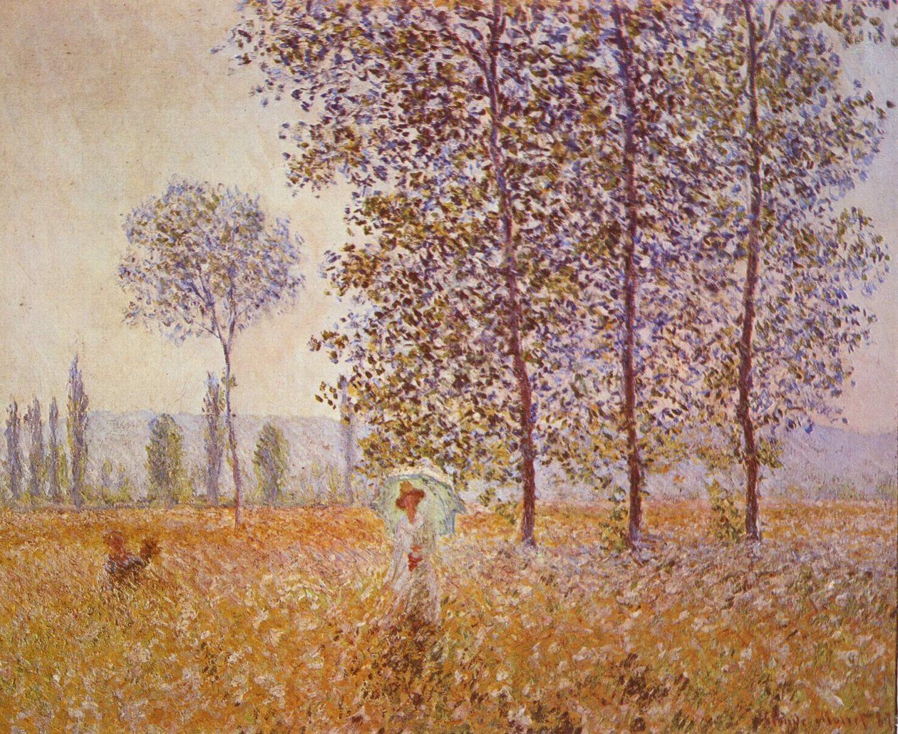 Güneş ışığında kavaklar by Claude Monet