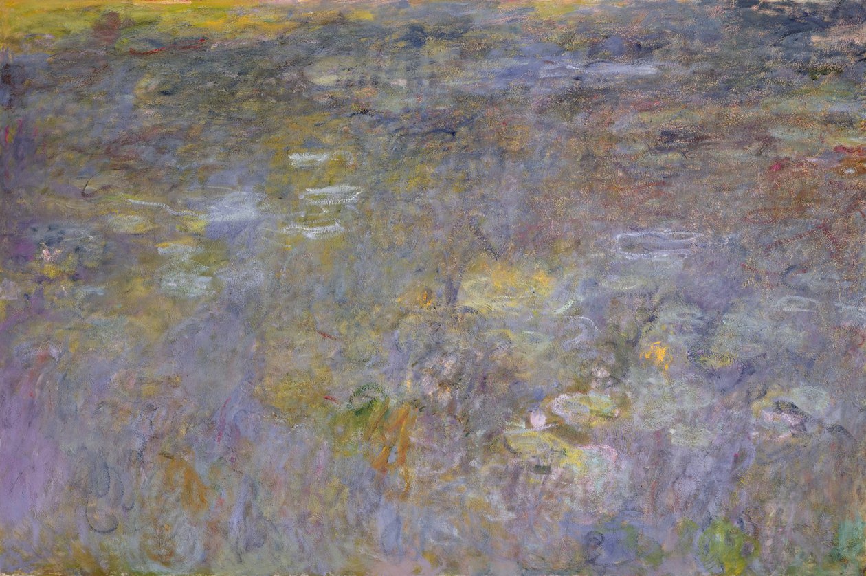 Nilüfer Göleti, c.1917-20 by Claude Monet