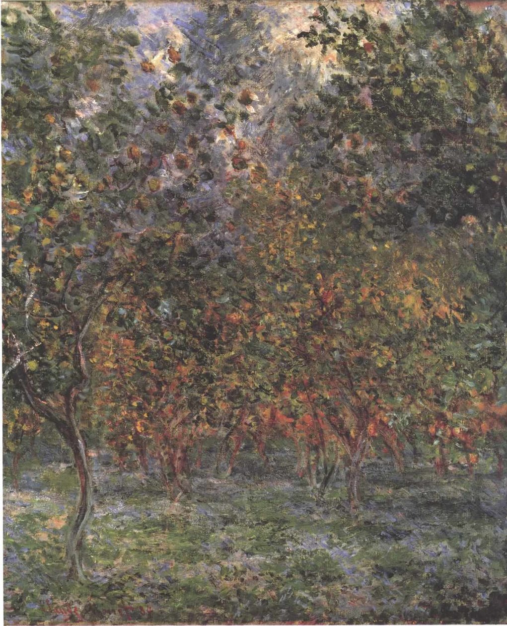 limon ağaçlarının altında by Claude Monet