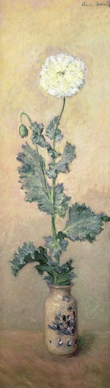 Beyaz Gelincik, 1883 by Claude Monet