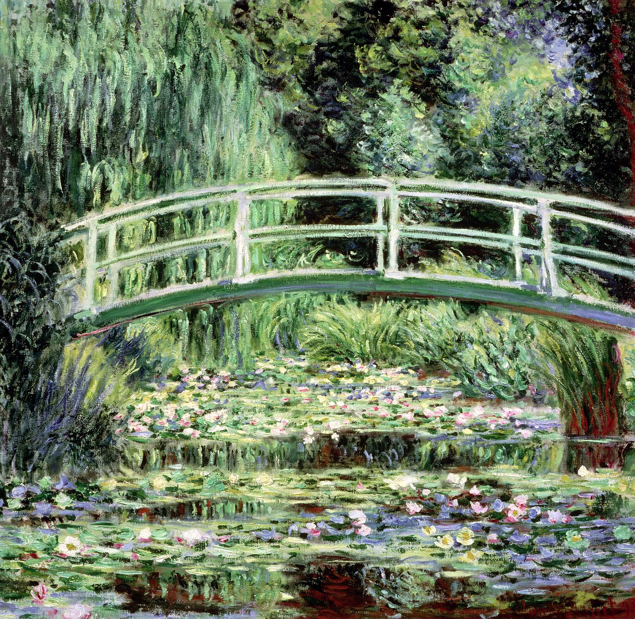 Beyaz Nilüferler, 1899 by Claude Monet