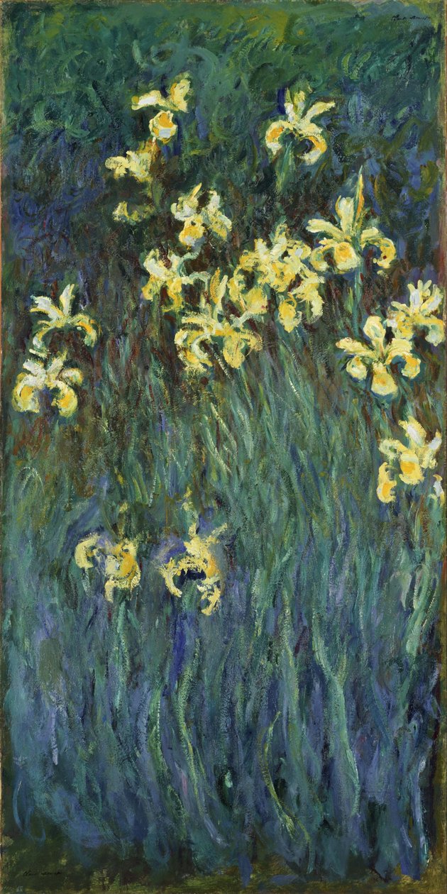 sarı süsen by Claude Monet