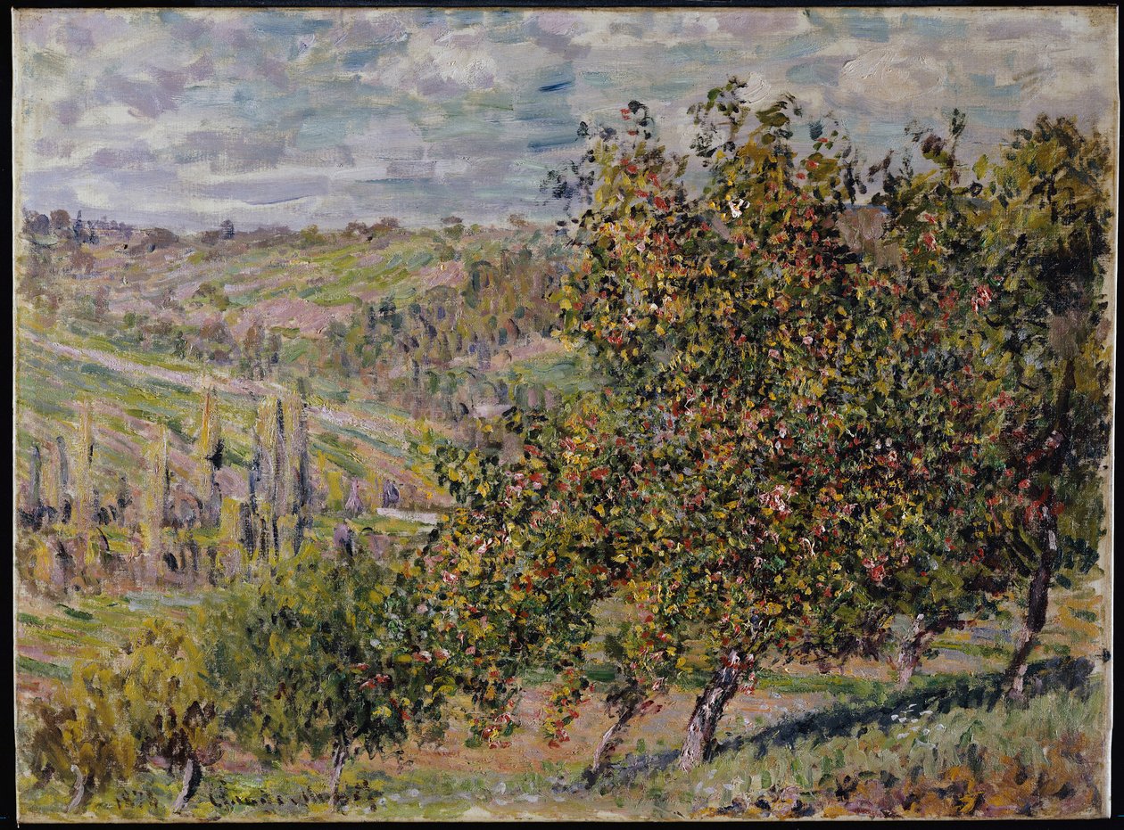 Elma Çiçeği, 1878 by Claude Monet