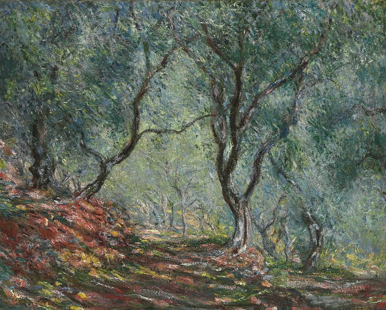Moreno bahçesindeki zeytinlik, 1884 by Claude Monet
