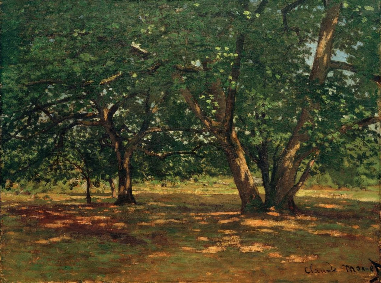Fontainebleau Ormanı by Claude Monet