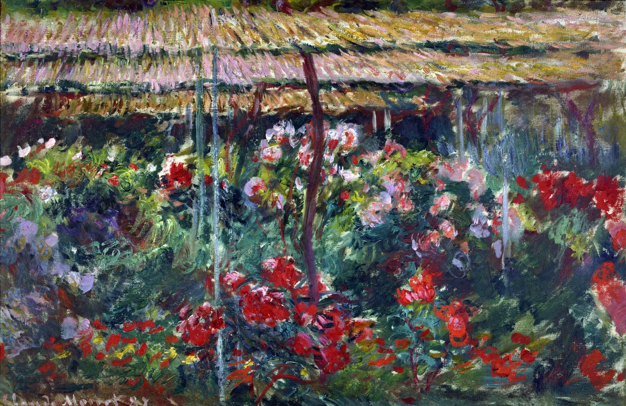 Şakayık bahçesi. (Resim,1887) by Claude Monet