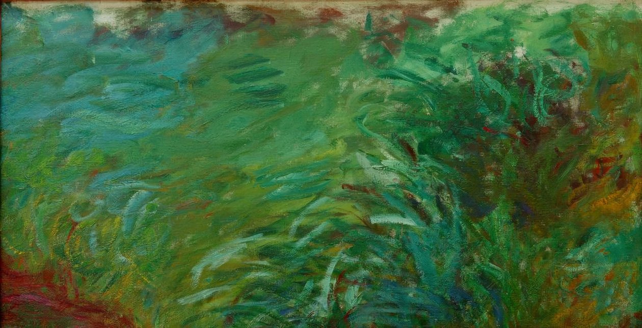 su bitkileri by Claude Monet