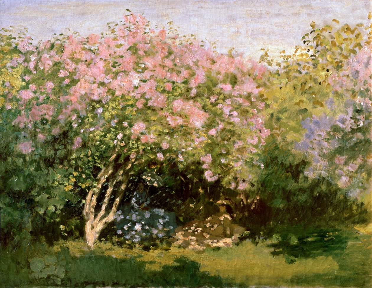Güneşte Leylak, 1872-1873. by Claude Monet