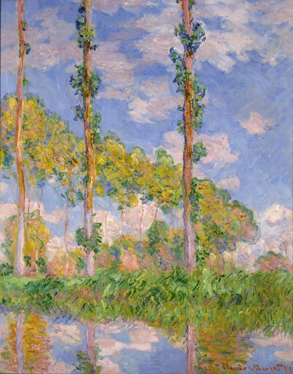 güneşte kavaklar by Claude Monet