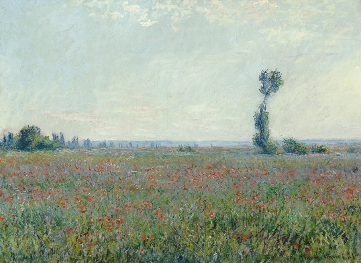 Haşhaş tarlası, 1881 by Claude Monet