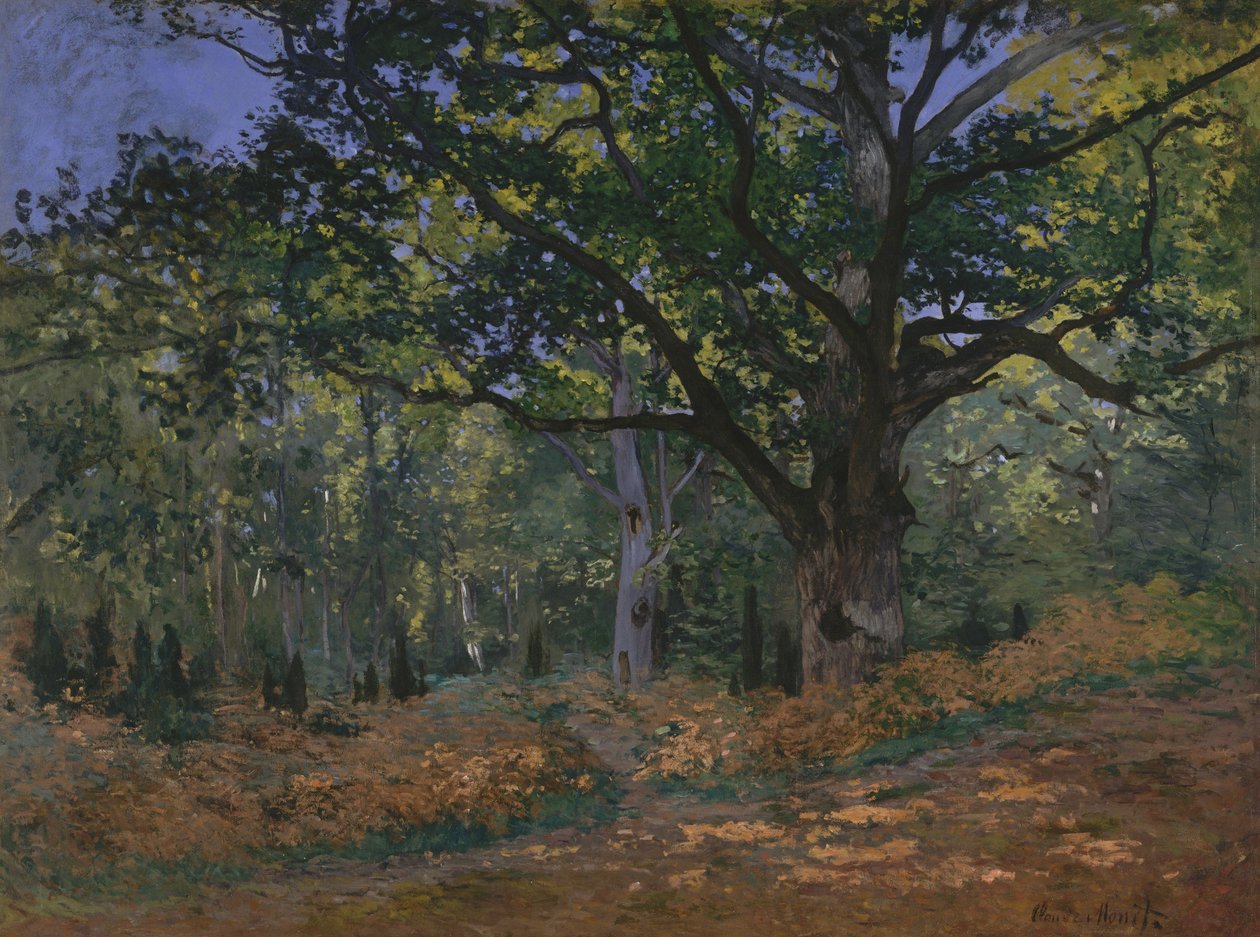 Bodmer Meşe, Fontainebleau Ormanı by Claude Monet