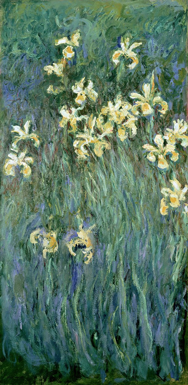 Sarı Süsenler by Claude Monet