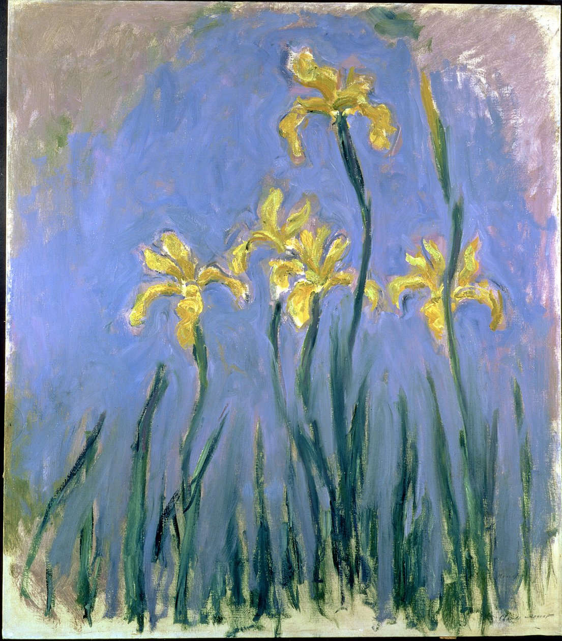 Sarı Süsenler, c.1918-25 by Claude Monet