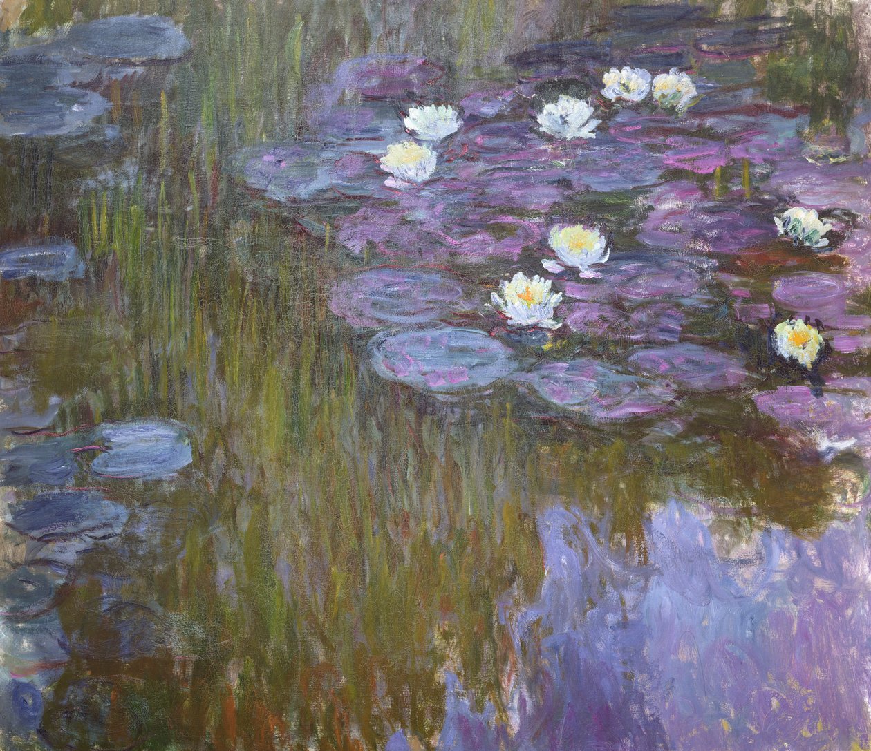 ಜಲಲಿಲಿಸ್ಟರ್ಕ್ by Claude Monet