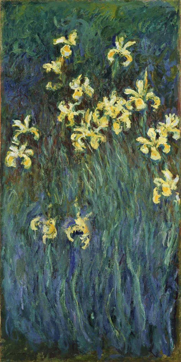 Sarı Süsenler, 1914-1917 by Claude Monet