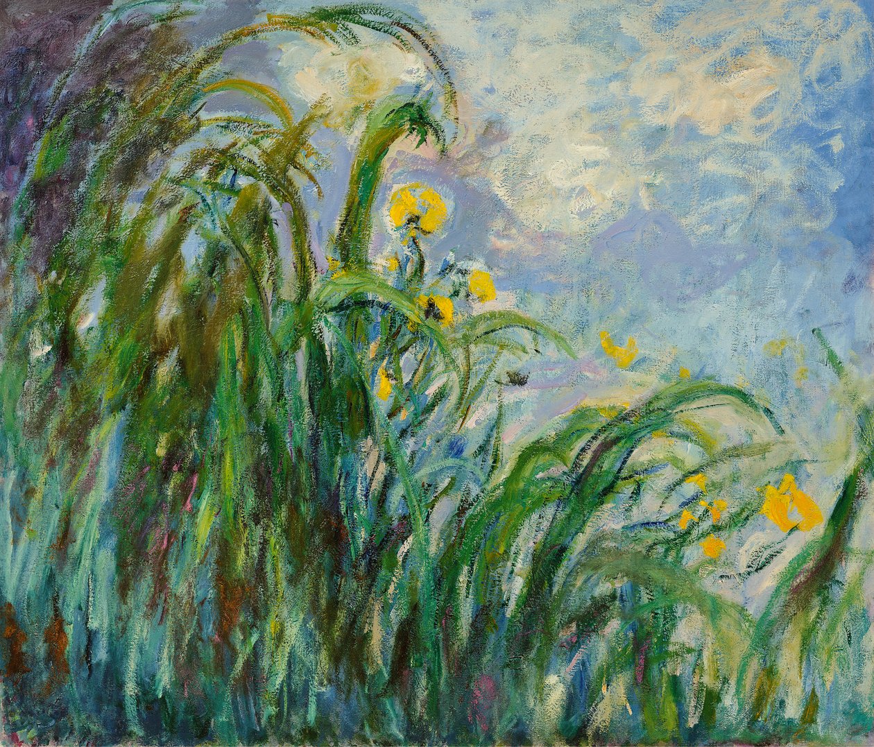 Sarı süsen, c. 1925. by Claude Monet