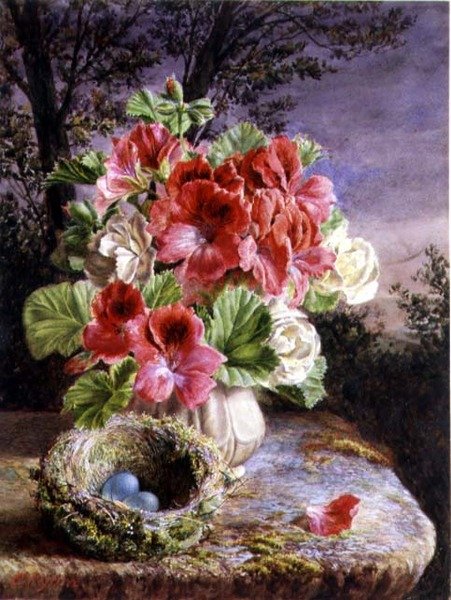 Gloxinia ve Kuş Yuvası by Claude Ryan
