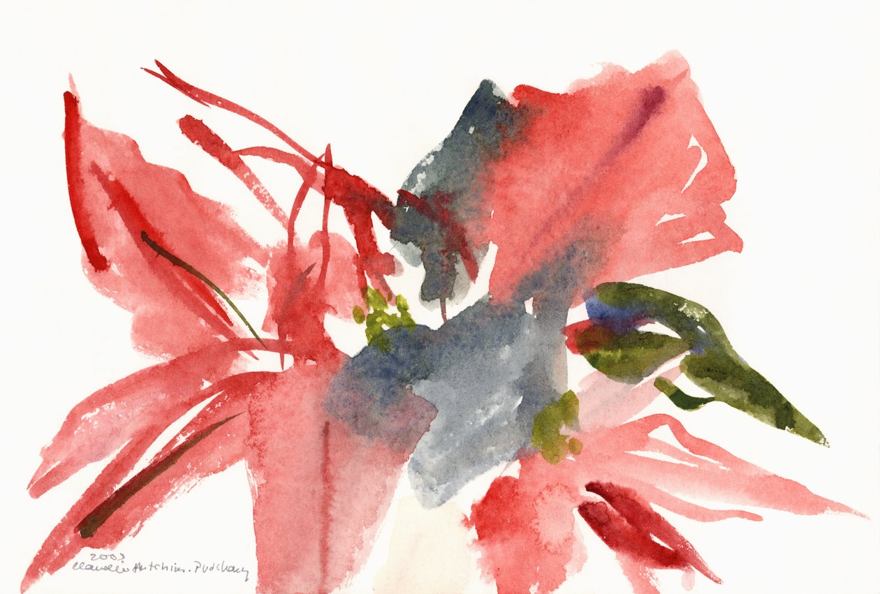 Atatürk çiçeği, 2003 by Claudia Hutchins Puechavy