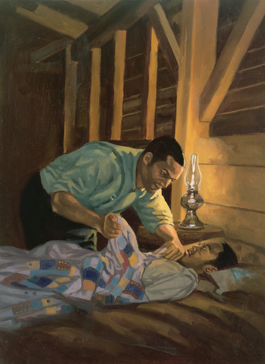 Renkli İyi Geceler, 2003 (gemide yağ ve akrilik) by Colin Bootman