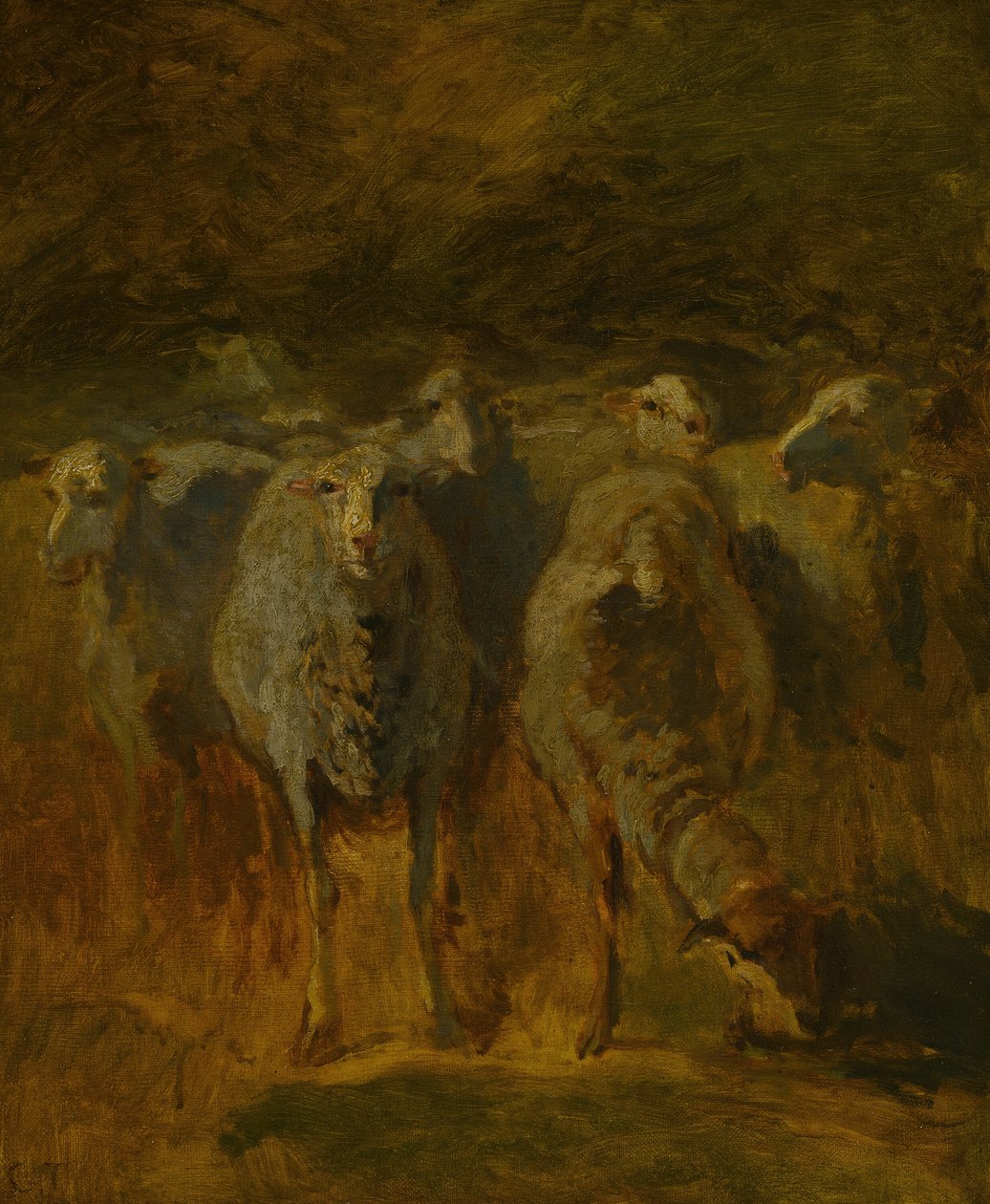 Bitmemiş Koyun Çalışması, c. 1850. by Constant Troyon