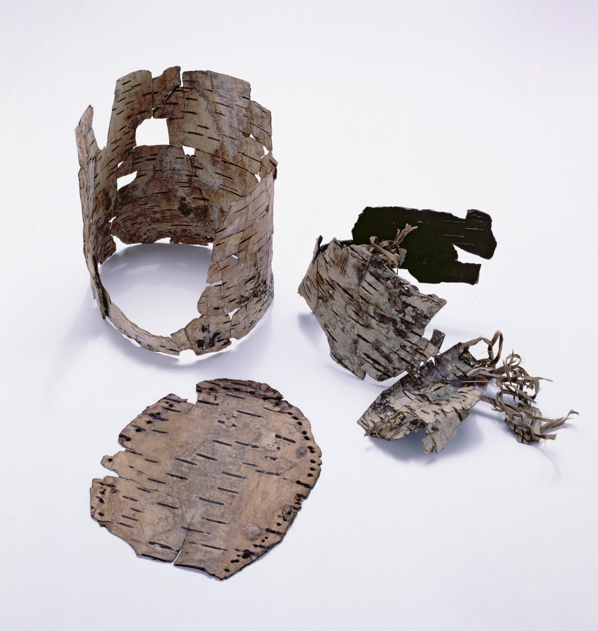 Oetzi Iceman (huş ağacı) ile birlikte huş ağacı kabuğu kabı bulundu by Copper Age