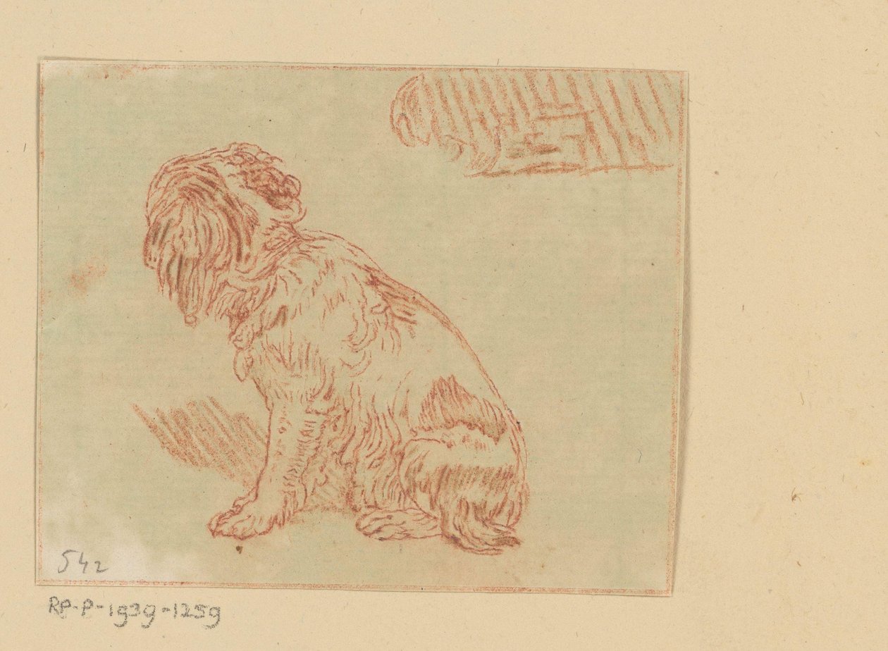 oturan köpek by Cornelis Brouwer (possibly)