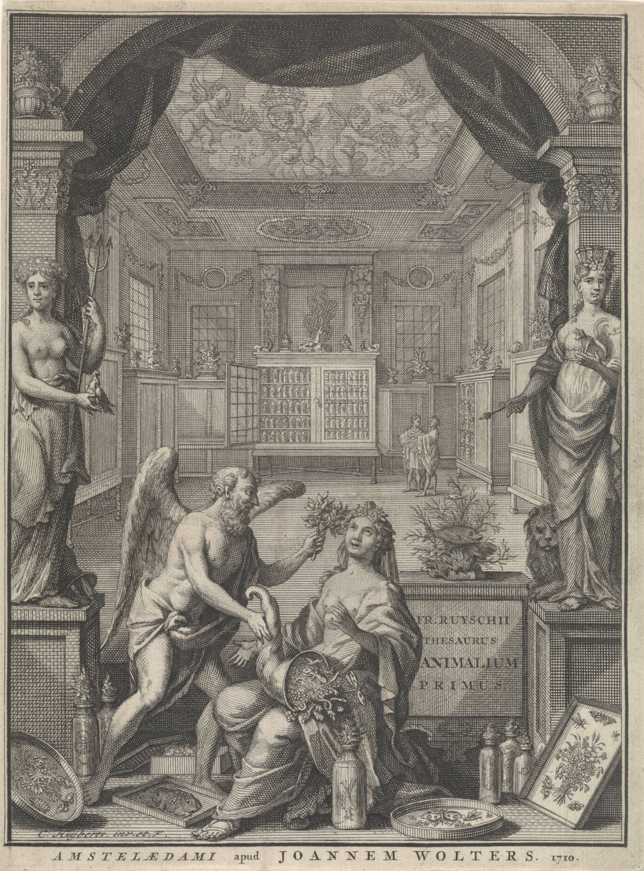 Doğanın Alegorisi by Cornelis Huyberts