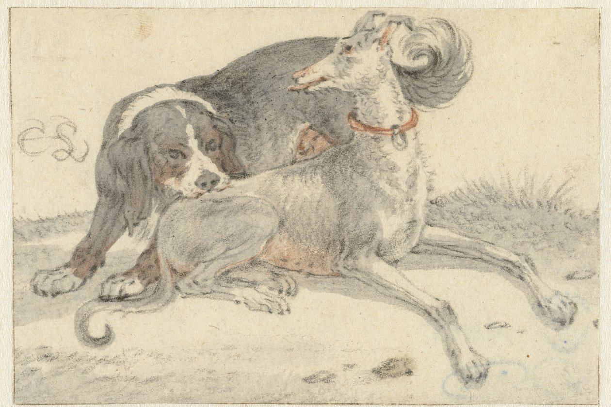 Tazı ve keklik köpeği by Cornelis Saftleven