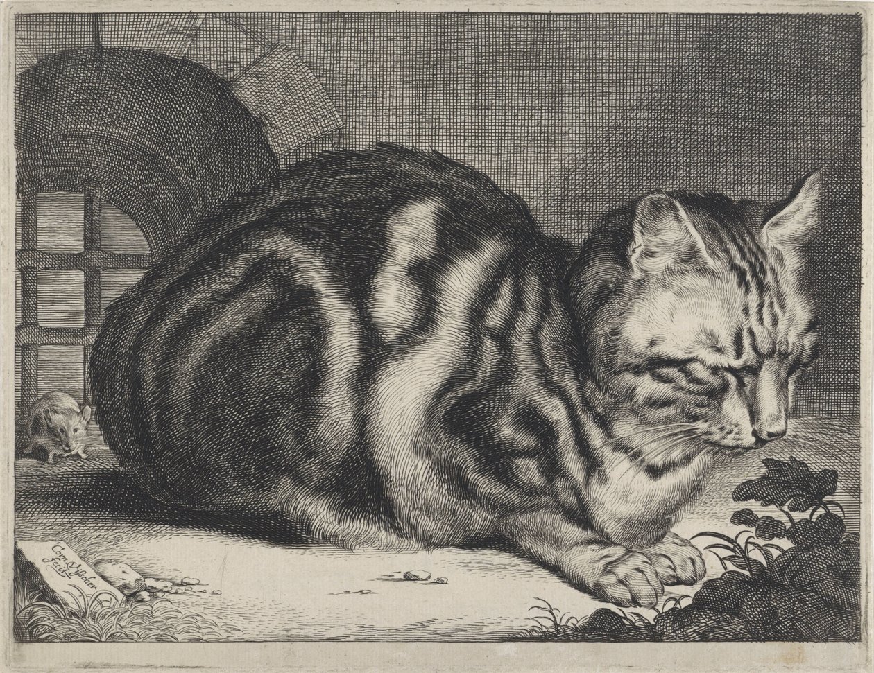 Büyük Kedi by Cornelis Visscher (II)