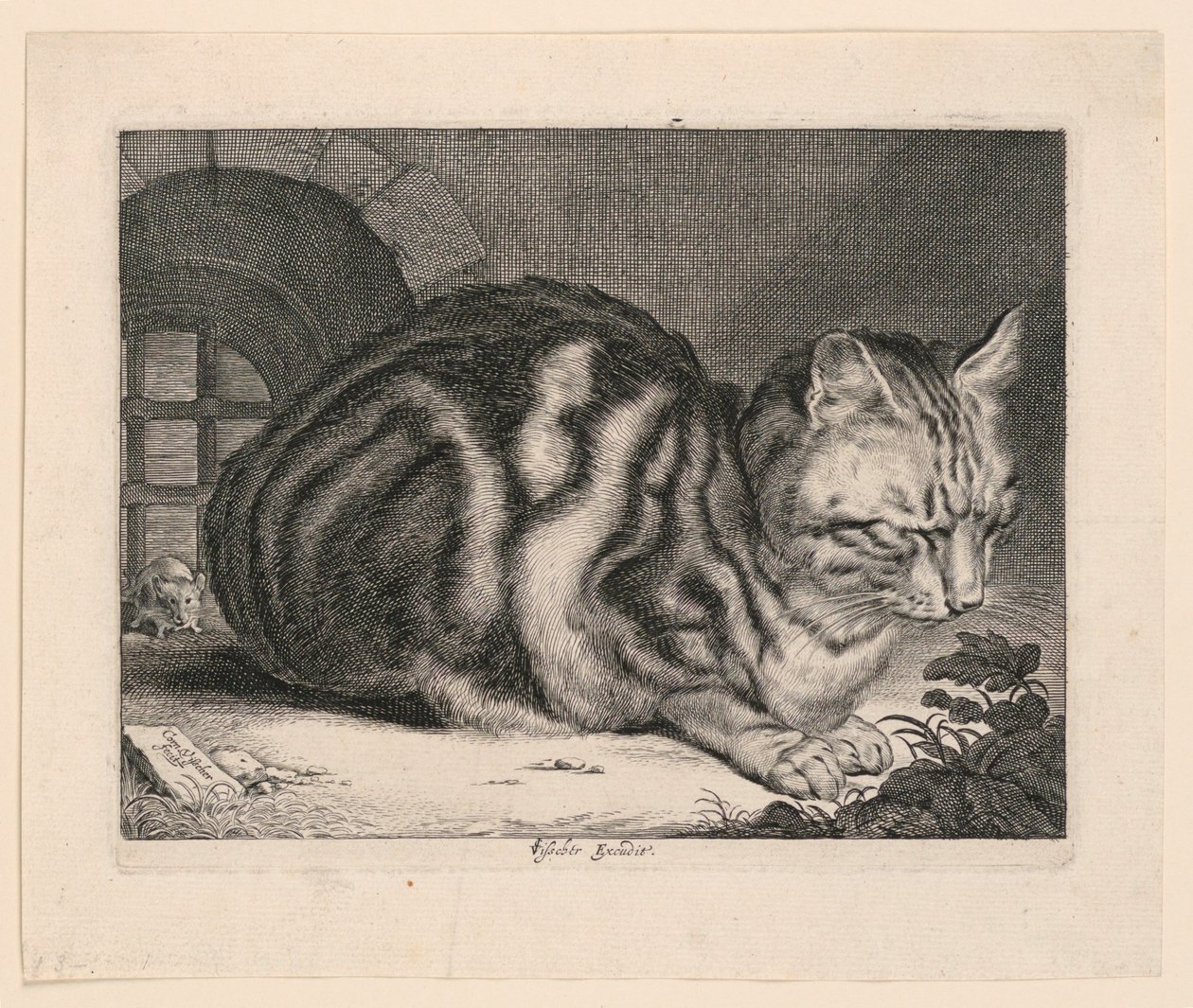 Büyük Kedi by Cornelis Visscher