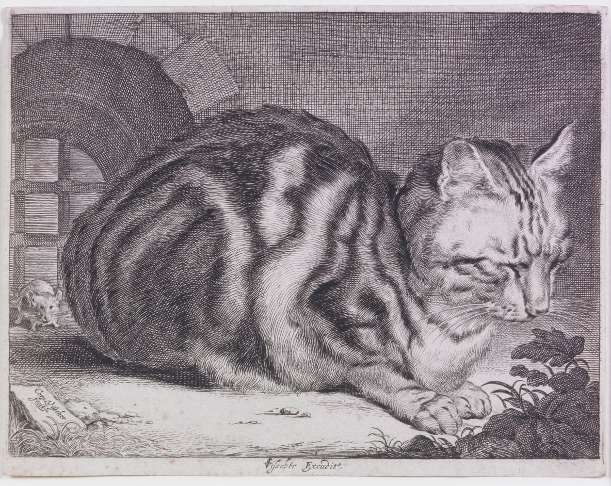 Büyük Kedi by Cornelis de Visscher