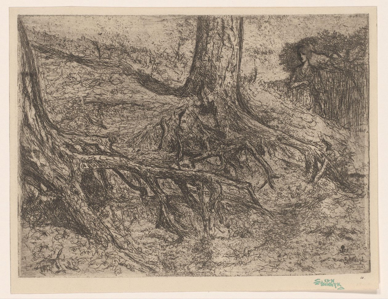 ağaç kökleri by Cornelis van Steenwijk
