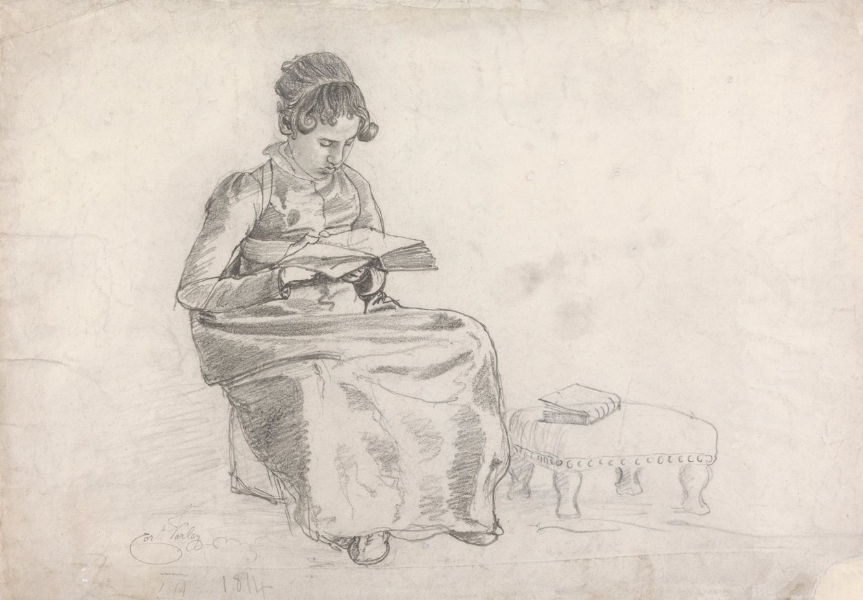 kitap okuyan kız by Cornelius Varley