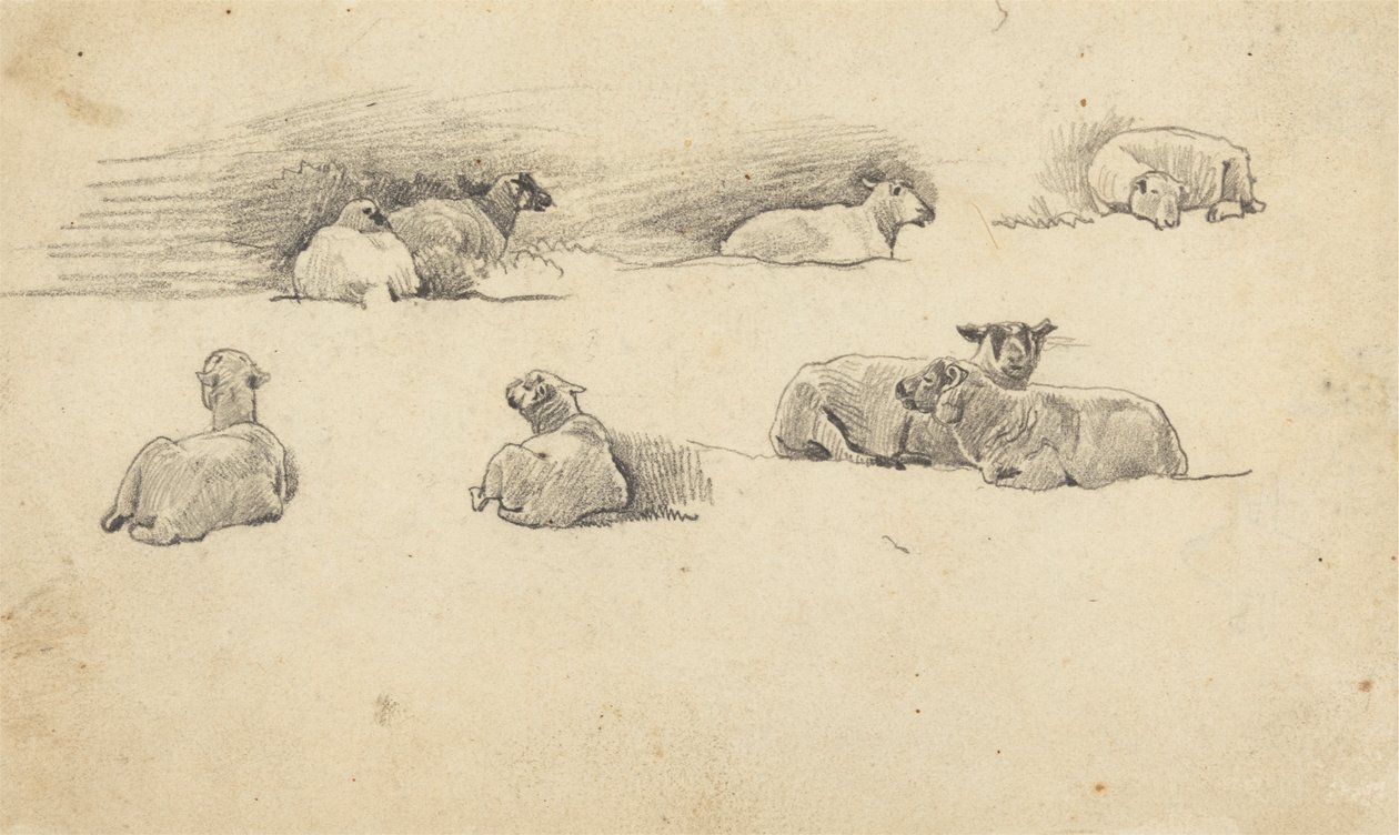 Koyun Çalışması by Cornelius Varley