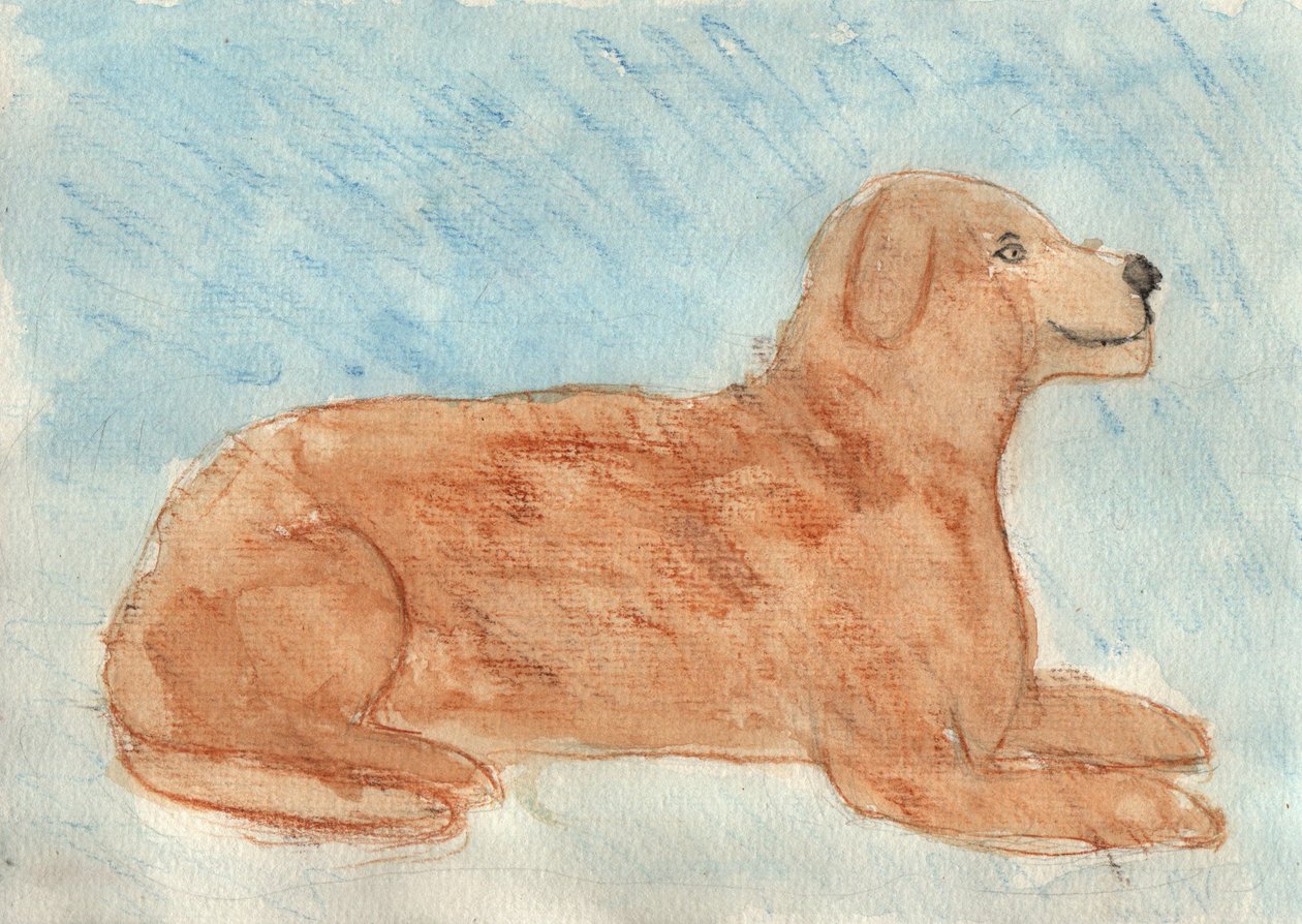 Rüyada köpek görmek by Crazy Artist
